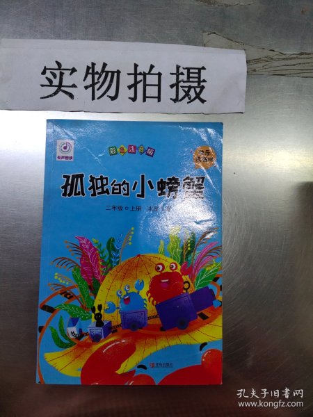 红蜻蜓，红蜻蜓