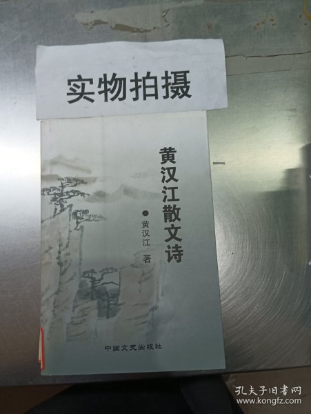 汉语方言地理学：入门与实践