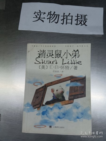 精灵鼠小弟