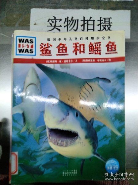 什么是什么：鲨鱼和鳐鱼