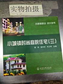 小城镇时尚庭院住宅123 三