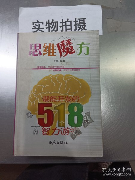 思维魔方：潜能开发的518个智力游戏