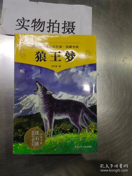 狼王梦