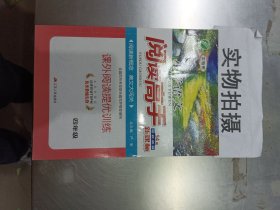 小学语文阅读高手.四年级