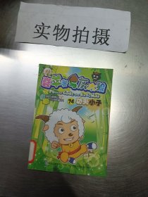 喜羊羊与灰太狼24:功夫小子