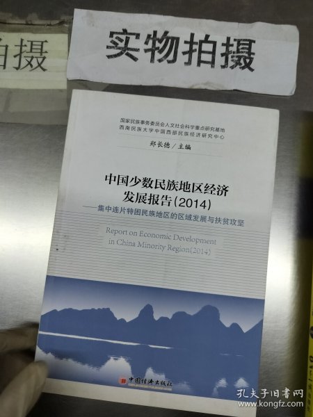 中国少数民族地区经济发展报告（2014）：集中连片特困民族地区的区域发展与扶贫攻坚