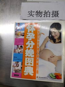 怀孕分娩图典
