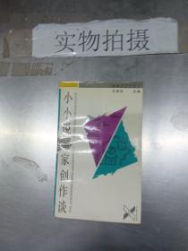 小小说百家创作谈