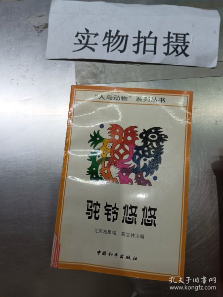 驼铃悠悠