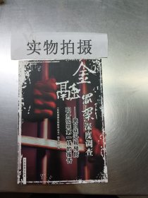 金融罪案深度调查 专著 来自惩治和预防职务犯罪第一线的报告 徐苏林主编