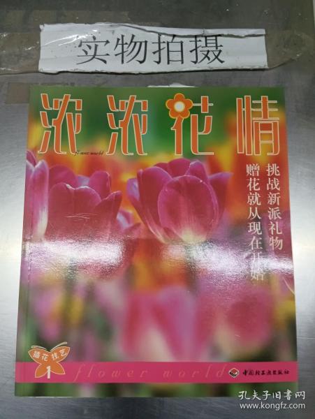 插花技艺  1  迷人花色