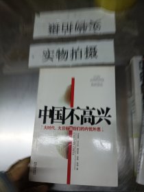 中国不高兴：大时代大目标及我们的内忧外患