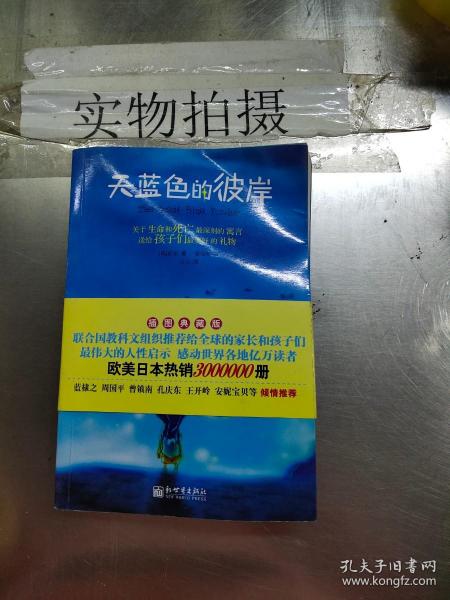 天蓝色的彼岸：关于生命和死亡最深刻的寓言