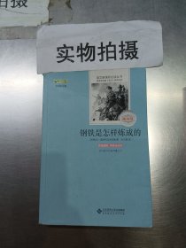 钢铁是怎样炼成的（原版插图，名家全译本）