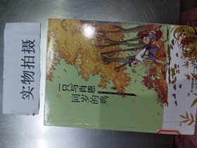 盛世中国 原创儿童文学大系 一只与肖恩同岁的鸡