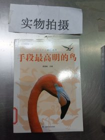 科普图书馆·了不起的鸟世界：手段最高明的鸟