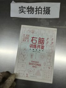 大脑使用书：右脑训练开发