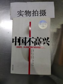 中国不高兴：大时代大目标及我们的内忧外患