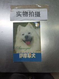 萨摩耶犬