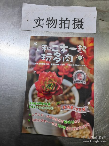 和二木一起玩多肉