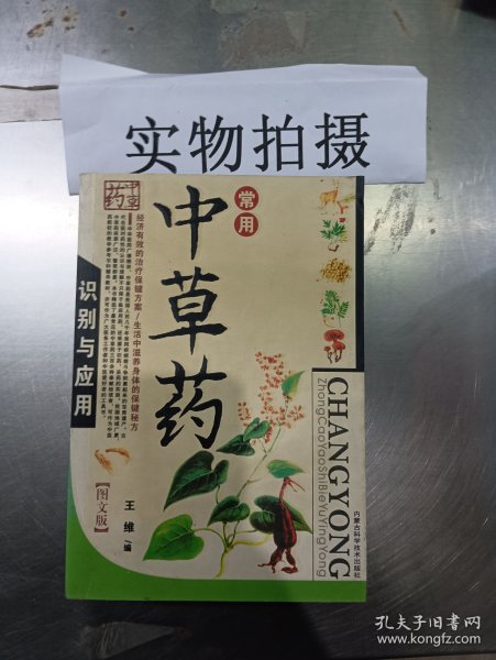 常用中草药识别与应用（图文版）