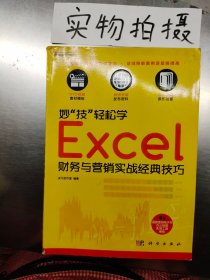 妙“技”輕松學(xué)：Excel財務(wù)與營銷實戰(zhàn)經(jīng)典技巧