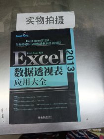 Excel 2013数据透视表应用大全