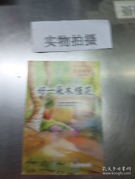 义务教育教科书·语文自读课本 七年级（下册）：好一朵木槿花