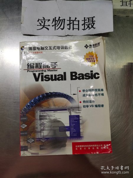 Visual Basic编程高手