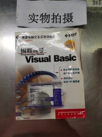 Visual Basic编程高手