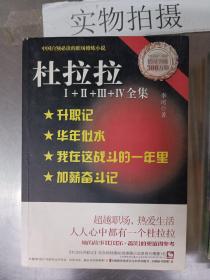 杜拉拉3：我在这战斗的一年里