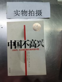 中国不高兴：大时代大目标及我们的内忧外患