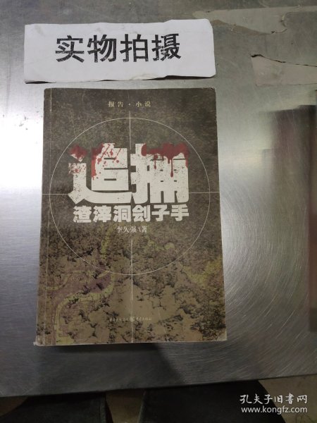 追捕渣滓洞刽子手（《红岩》小说的B面：公安战士和潜伏的刽子手之间追捕与反追捕的曲折故事）