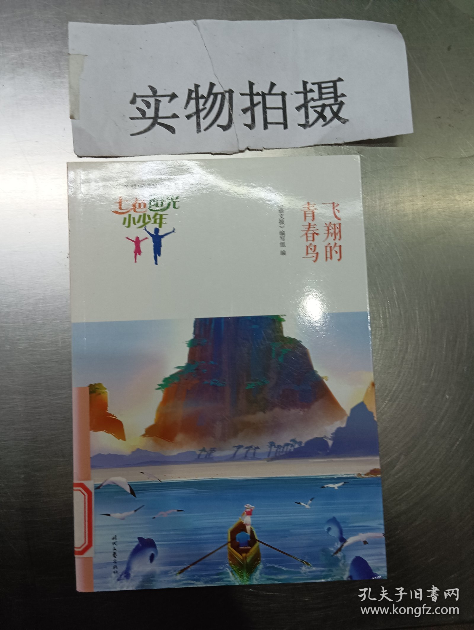 七色阳光小少年：飞翔的青春鸟