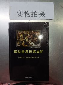 钢铁是怎样炼成的