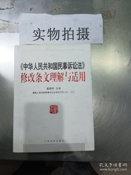 《中华人民共和国民事诉讼法》修改条文理解与适用