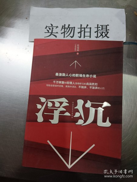 浮沉：最激励人心的职场生存小说