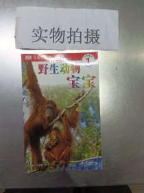 DK儿童目击者.开始阅读-第1级套装共4册