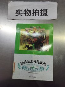 钢铁是怎样炼成的【馆藏】