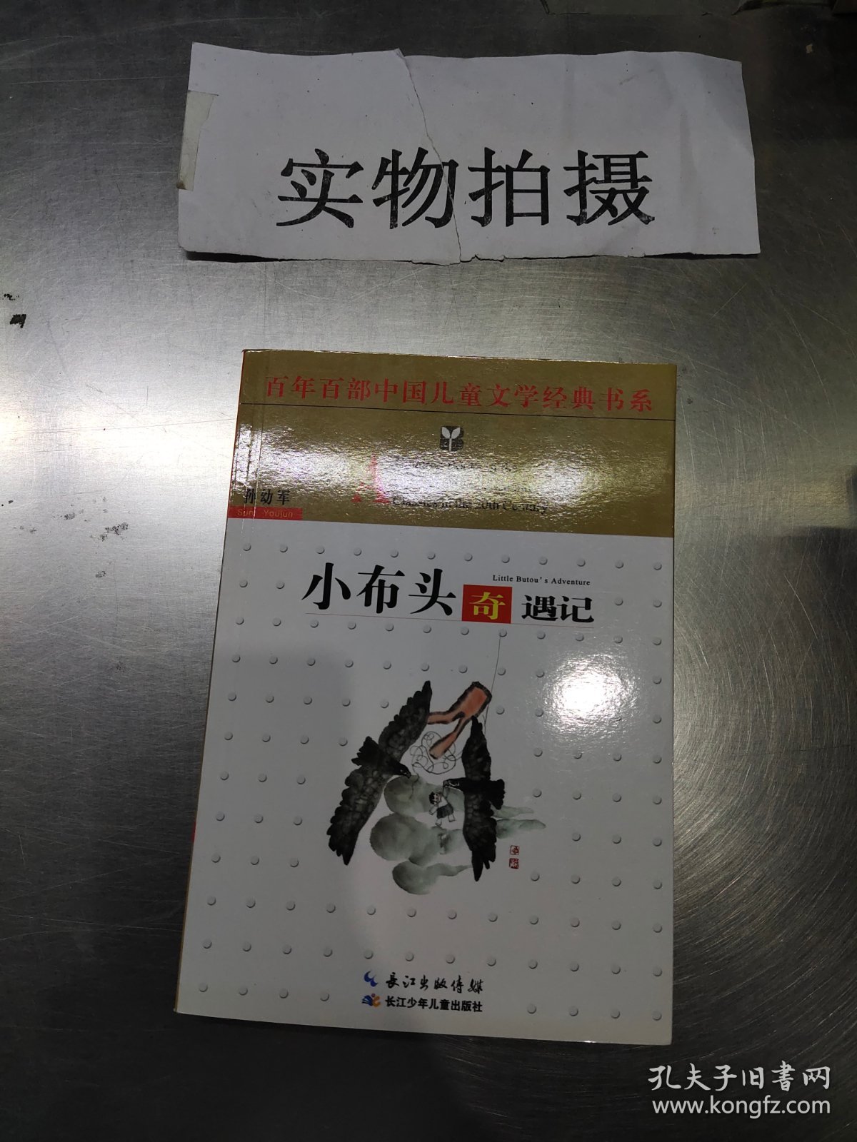 最能打动孩子心灵的中国经典童话·小布头奇遇记 (Chinese Edition) by 孙幼军 | Goodreads