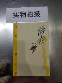 海岩中篇小说