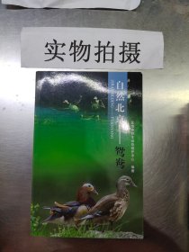 自然北京：鸳鸯