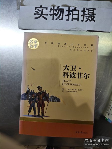 大卫 科波菲尔 中小学生课外阅读书籍世界经典文学名著青少年儿童文学读物故事书名家名译原汁原味读原著