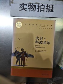 大卫 科波菲尔 中小学生课外阅读书籍世界经典文学名著青少年儿童文学读物故事书名家名译原汁原味读原著