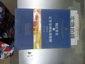 刑法罪名与定罪量刑标准精解（最新修订版）