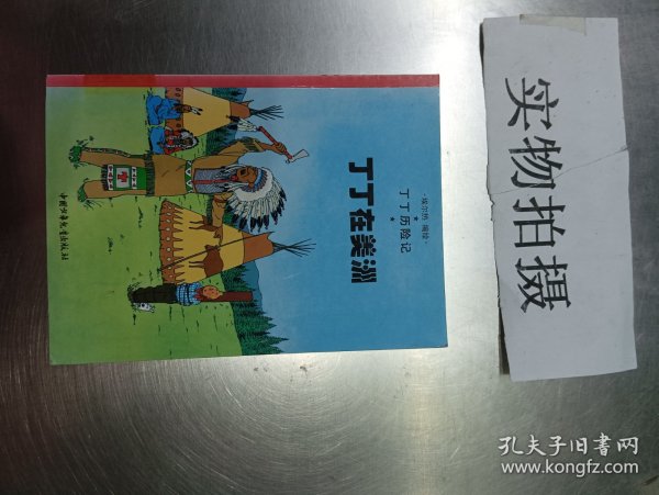 丁丁在美洲