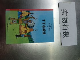 丁丁在美洲