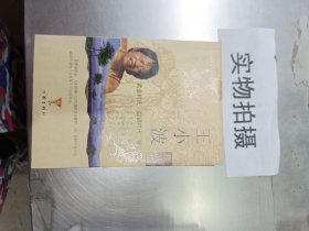 王小波作品集