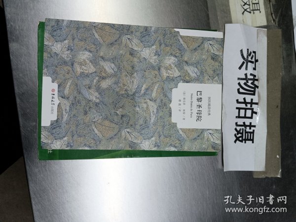 巴黎圣母院（全译本）