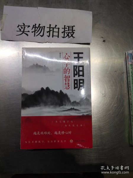 王阳明心学的智慧（32开平装）